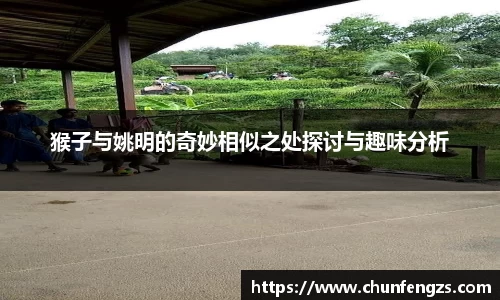 猴子与姚明的奇妙相似之处探讨与趣味分析