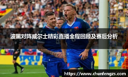波黑对阵威尔士精彩直播全程回顾及赛后分析